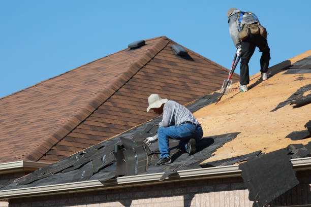 Best Roof Maintenance  in USA